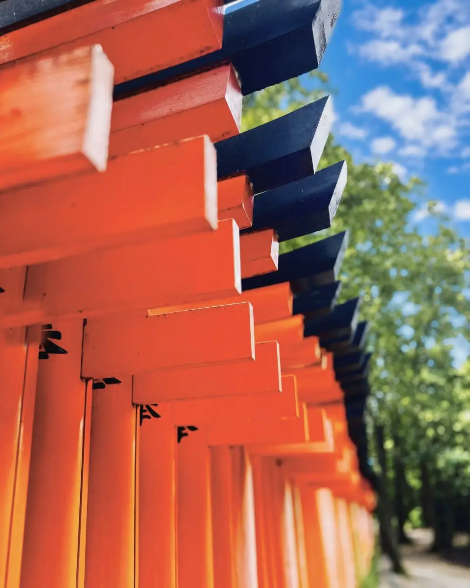 Vermilion torii gates rising towards a blue sky