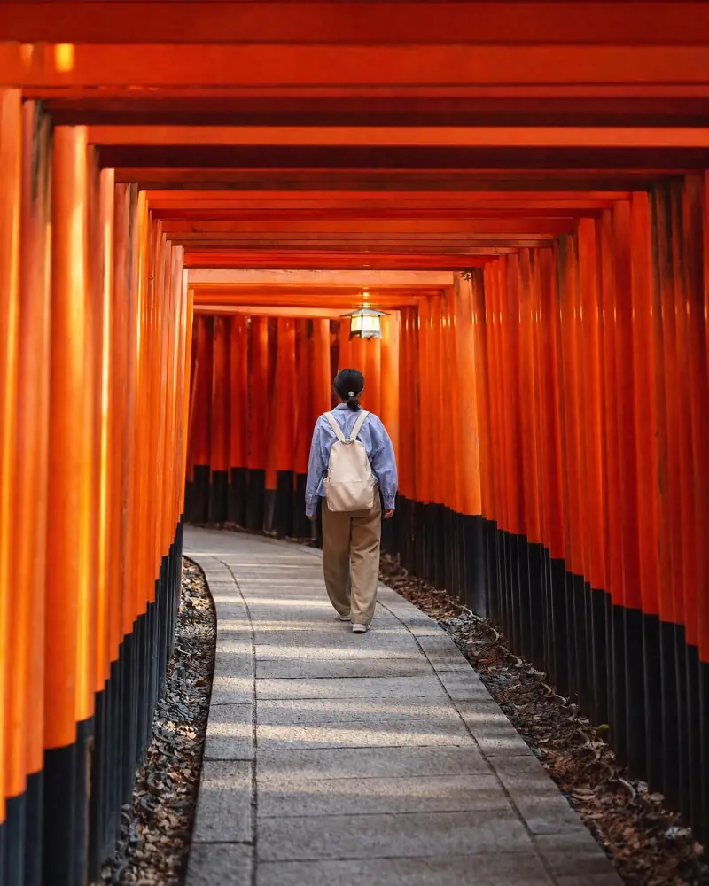 Walking through the torii gates in the morning