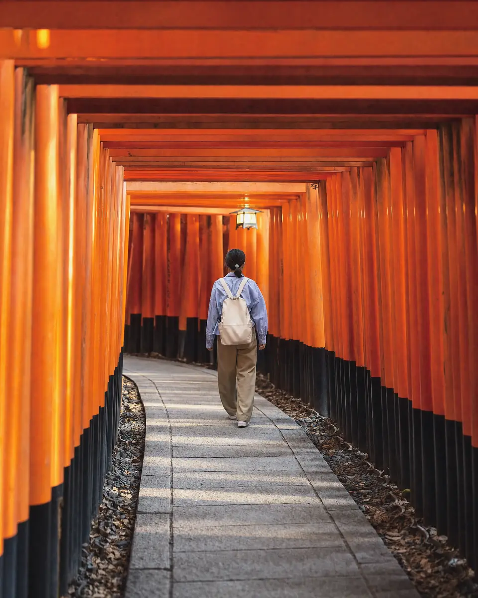 The tunnel of red gates at Fushimi Inari