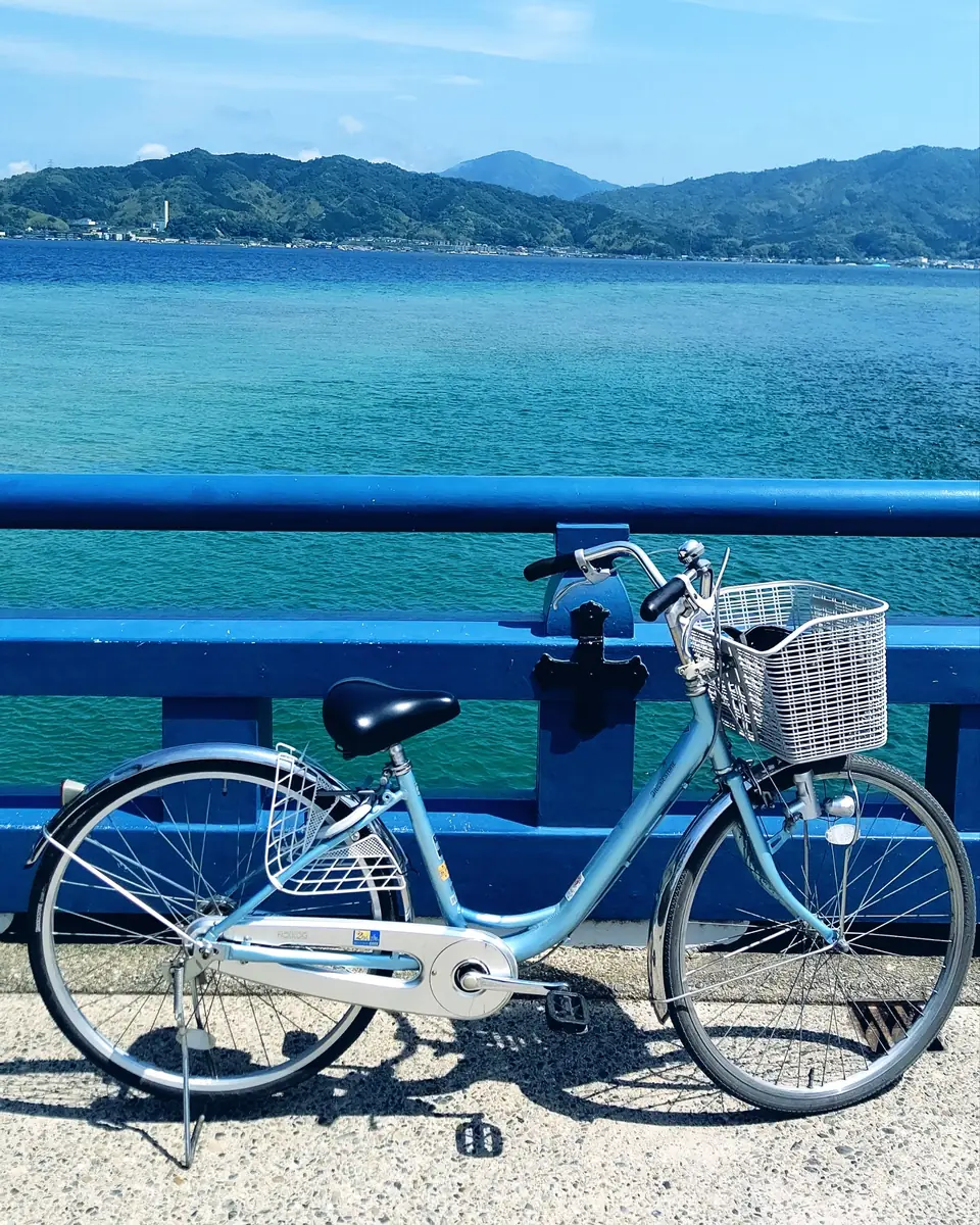 A bicycle by a blue railing along the sea
