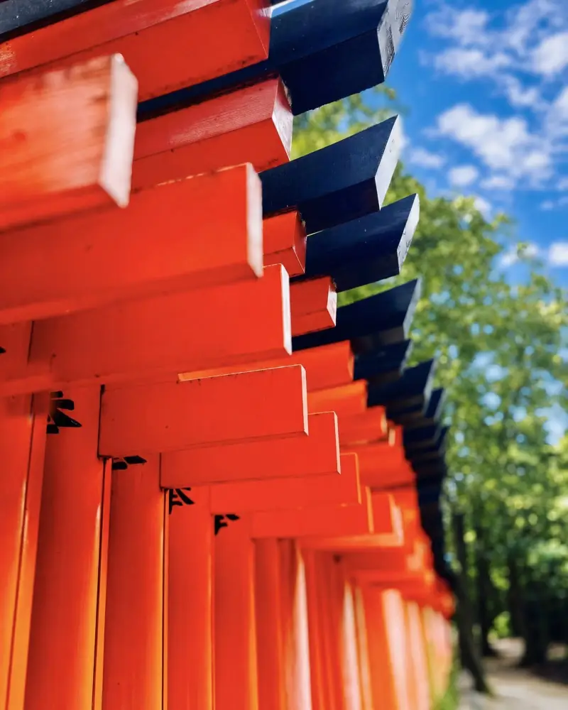 Vermilion torii gates rising towards a blue sky
